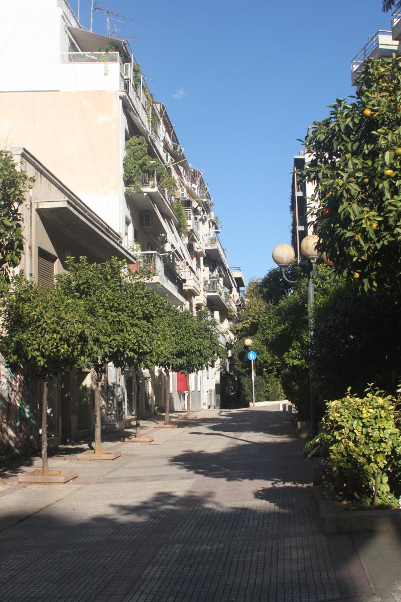 "Under The Olive Tree"- Beautiful Apartment In The Heart Of Афіни Екстер'єр фото