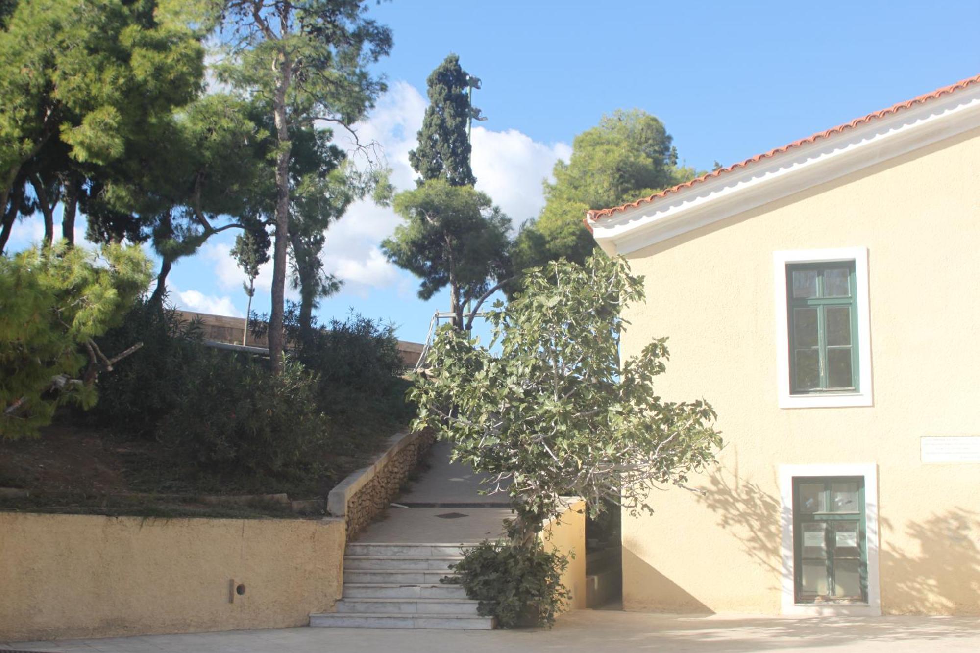 "Under The Olive Tree"- Beautiful Apartment In The Heart Of Афіни Екстер'єр фото