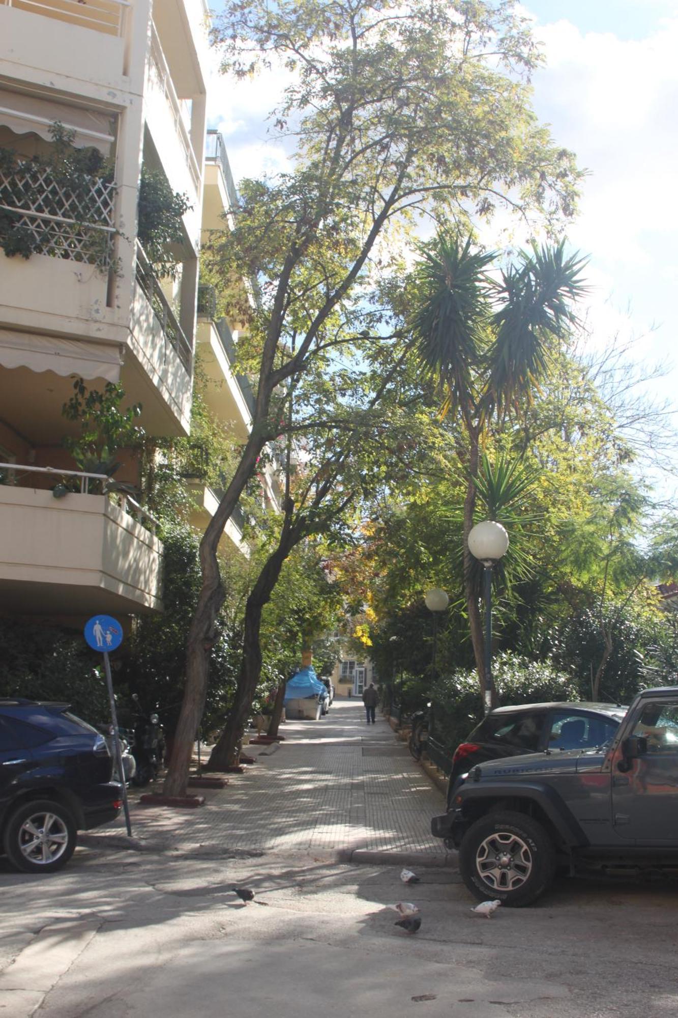 "Under The Olive Tree"- Beautiful Apartment In The Heart Of Афіни Екстер'єр фото